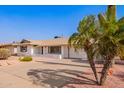 Well-maintained home featuring a front yard with mature palm trees and ample parking on a paved driveway at 5633 E Colby St, Mesa, AZ 85205