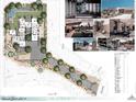 Detailed site plan of the property showcasing landscaping, pool, and building footprint at 25564 N 119Th St, Scottsdale, AZ 85255