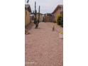 Desert landscaped backyard with mature cactus, secure fencing and easy access at 962 S Main Dr, Apache Junction, AZ 85120