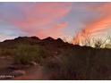 Picturesque desert landscape with native trees and foliage under a colorful sunset at 3417 E Mission E Ln, Phoenix, AZ 85028