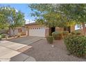 Charming single-story home featuring a well-maintained front yard, lush trees, and a two-car garage at 7818 S 74Th Ave, Laveen, AZ 85339