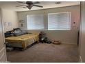 Bedroom filled with natural light and including two large windows at 17335 W Woodlands Ave, Goodyear, AZ 85338