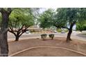 Quiet neighborhood street view showcasing well-manicured lawns and mature shade trees at 2320 W El Alba Way, Chandler, AZ 85224