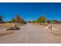 Long gravel driveway leading to a home with ample parking and mature trees at 3738 E Hash Knife Draw Rd, Queen Creek, AZ 85140