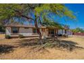 Inviting single-story home featuring a cozy front porch, and green tree in the yard at 3738 E Hash Knife Draw Rd, Queen Creek, AZ 85140