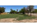 Expansive front yard with lush green grass, mature trees, and a charming single-story home in the background at 3738 E Hash Knife Draw Rd, Queen Creek, AZ 85140