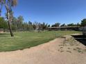 Expansive grassy backyard features mature trees and outdoor structures, ideal for recreation and livestock at 3738 E Hash Knife Draw Rd, Queen Creek, AZ 85140