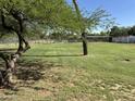 Lush grassy backyard with mature trees providing ample shade and a peek at the equestrian facilities at 3738 E Hash Knife Draw Rd, Queen Creek, AZ 85140