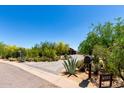 View of the home and driveway from the street, highlighting lush desert landscaping and an address marker at 8555 E Tecolote Cir, Scottsdale, AZ 85266