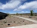 Community sidewalk with lush landscaping, featuring young trees and green foliage at 5827 W Coplen Farms Rd, Laveen, AZ 85339