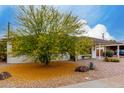 Single-story home featuring a covered porch, landscaped front yard, flowering tree, and convenient carport at 8143 E Whitton Ave, Scottsdale, AZ 85251