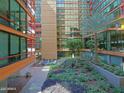 Beautiful courtyard with lush landscaping and modern architecture at 4808 N 24Th St # 204, Phoenix, AZ 85016