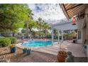 Inviting backyard with a sparkling pool, lush landscaping, a covered patio, and scenic palm tree views at 835 W Beechnut Dr, Chandler, AZ 85248