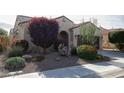 Inviting home featuring well-maintained desert landscaping with a mature tree and charming curb appeal at 21883 N 263Rd Dr, Buckeye, AZ 85396