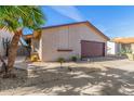 Single-story home featuring xeriscaping, and a neutral color palette framed by a mature palm tree at 2635 W Hearn Rd, Phoenix, AZ 85023