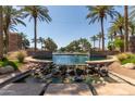 Beautiful community entrance featuring meticulously maintained landscaping, mature palm trees, and decorative fountain at 43803 W Wade Dr, Maricopa, AZ 85138