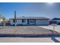 Inviting home with desert landscaping, featuring a large Saguaro cactus and low-maintenance rock ground cover at 19849 N 33Rd Ave, Phoenix, AZ 85027