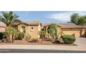 Charming home with desert landscaping, showcasing a well-maintained yard with mature cacti and palm trees at 42311 W Good Vibrations Ln, Maricopa, AZ 85138