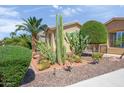 Beautiful desert landscaping featuring mature cacti, shrubs, and rock ground cover, creating a low-maintenance yard at 42311 W Good Vibrations Ln, Maricopa, AZ 85138