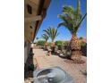 Backyard features decorative palm trees, cacti, and desert landscaping, creating a serene outdoor space at 8303 E Meseto Ave, Mesa, AZ 85209
