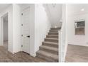 Staircase with carpeted steps and white railing, complemented by wood-look flooring and natural light at 9837 E Satellite Dr, Mesa, AZ 85212
