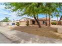 Single-story home with desert landscaping, mature shade trees, and a cozy front entrance at 3138 W Danbury Dr, Phoenix, AZ 85053