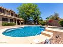 Backyard oasis featuring a sparkling blue pool, mature shade tree, and lush landscaping at 4123 S Wayne Pl, Chandler, AZ 85249