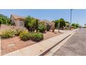 Well-maintained front exterior featuring lush desert landscaping, showcasing various cacti, shrubs, and decorative grasses at 115 E Spur Ave, Gilbert, AZ 85296