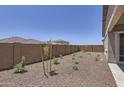 Spacious backyard with gravel landscaping, young trees, and brick fencing for added privacy at 17557 W Victory St, Goodyear, AZ 85338