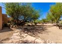Expansive backyard with desert landscaping and mature trees creating a private oasis at 22050 N 90Th St, Scottsdale, AZ 85255