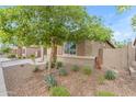 Beautifully landscaped front yard featuring a large tree and various desert plants surrounding the charming home at 25202 N 106Th Dr, Peoria, AZ 85383