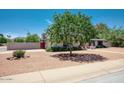 Charming single-story home with desert landscaping, mature shade tree, and block fence at 4079 E Shangri La Rd, Phoenix, AZ 85028