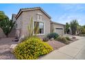 Single-story home featuring desert landscaping, including cacti, flowering bushes, and rock ground cover at 4819 E Villa Theresa Dr, Scottsdale, AZ 85254