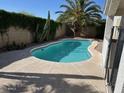 Private backyard featuring a sparkling pool, desert plants, and privacy wall at 21192 N 80Th Ln, Peoria, AZ 85382