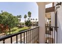 Balcony view with palm trees in the community at 3150 E Beardsley Rd # 1023, Phoenix, AZ 85050
