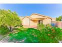 Spacious backyard featuring a covered patio, green lawn, mature trees, and colorful bushes at 2783 E Mineral Park Rd, San Tan Valley, AZ 85143