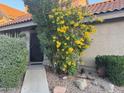 Cozy front door with desert landscaping and mature flowering shrub at 1001 N Pasadena St # 162, Mesa, AZ 85201