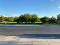 Scenic view of a neighborhood green space with mature trees and a walking path under a sunny sky at 17344 W Adams St, Goodyear, AZ 85338