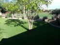 Large backyard with mature trees, lush green grass, a privacy fence, and some garden plants at 4083 E Rustler Way, Gilbert, AZ 85297
