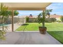 Covered patio overlooking a green backyard and fenced pool area at 4213 W Calle Lejos --, Glendale, AZ 85310