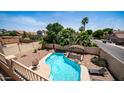 Beautiful backyard oasis featuring a sparkling pool, palm trees, lounge seating, and desert landscaping at 853 W Hemlock Way, Chandler, AZ 85248