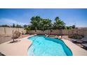 Backyard featuring a sparkling pool, lounge chairs, desert landscaping, and a shaded pergola at 853 W Hemlock Way, Chandler, AZ 85248