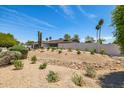 A well-manicured desert landscaped backyard with mature plants and a block fence at 13601 N 50Th Pl, Scottsdale, AZ 85254
