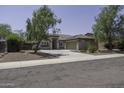 Lovely single-story home featuring a spacious driveway, desert landscaping, and mature trees at 651 W Cobblestone Dr, Casa Grande, AZ 85122