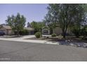 Attractive single-story home featuring desert landscaping, mature trees, and a spacious driveway at 651 W Cobblestone Dr, Casa Grande, AZ 85122