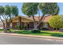 Beautiful brick home with mature trees, green lawn, and well-maintained landscaping at 1704 E Hackamore St, Mesa, AZ 85203
