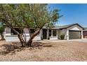 Charming single-story home featuring a desert landscape, a two-car garage, and a mature tree at 2124 E Boston St, Chandler, AZ 85225