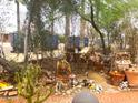 Backyard with desert vegetation featuring an outdoor space with potential for landscaping and customization at 717 W Lynwood St, Phoenix, AZ 85007