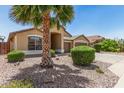 Beautifully landscaped front yard featuring desert landscaping and a large palm tree at 11303 E Pratt Ave, Mesa, AZ 85212