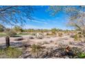 Scenic desert landscape with native plants and walking paths at 19475 N Grayhawk Dr # 1039, Scottsdale, AZ 85255